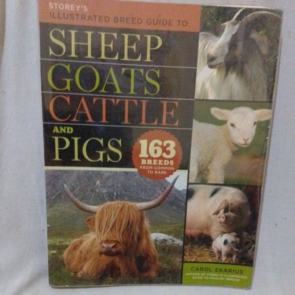 Buku import Illustrated Breed Guide to Sheep
