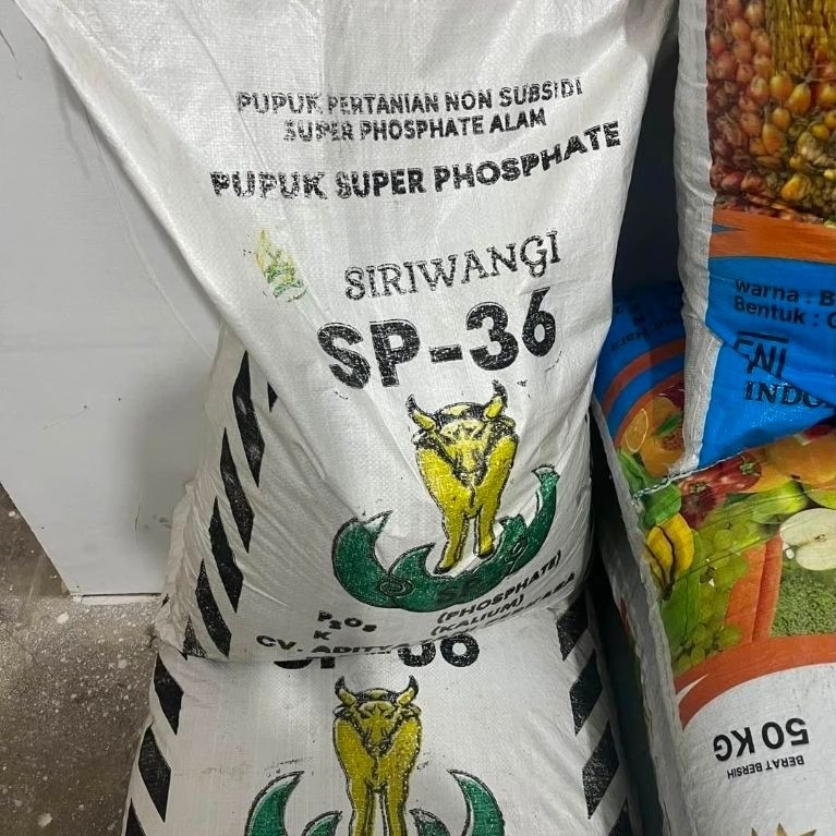 Pupuk Super Phosphate Siriwangi SP-36 50Kg Non Subsidi