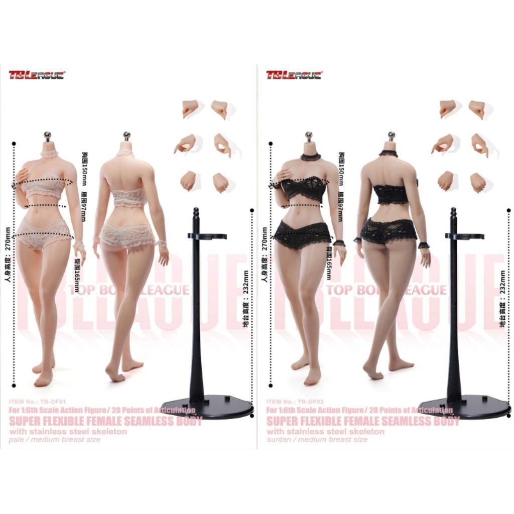 Tbleague - TB-DF01/2 - 1/6 Scale Figure - Slim Waist Curvy Female Seamless Body No Head Sculpt Attac