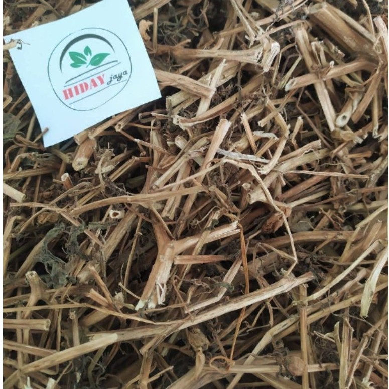 Tribulus Kering 100g | Simplisia Tribulus Herbal | Tribulus Terrestris untuk Seduhan