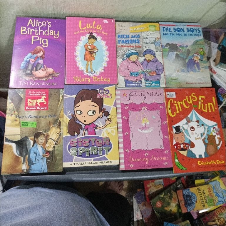 buku impor anak the box Boys, pony tails, sister spirit, felicity wishes, Circus funn, rich and famo