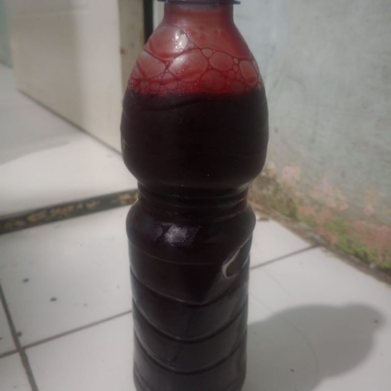 umpan Galatama lele marus darah sapi kemasan botol 500 mili