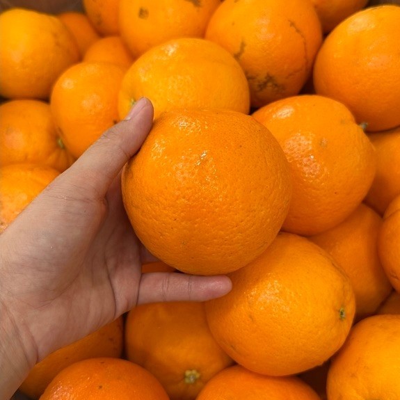 Jeruk Sunkist Navel Australia 1kg / 500gr