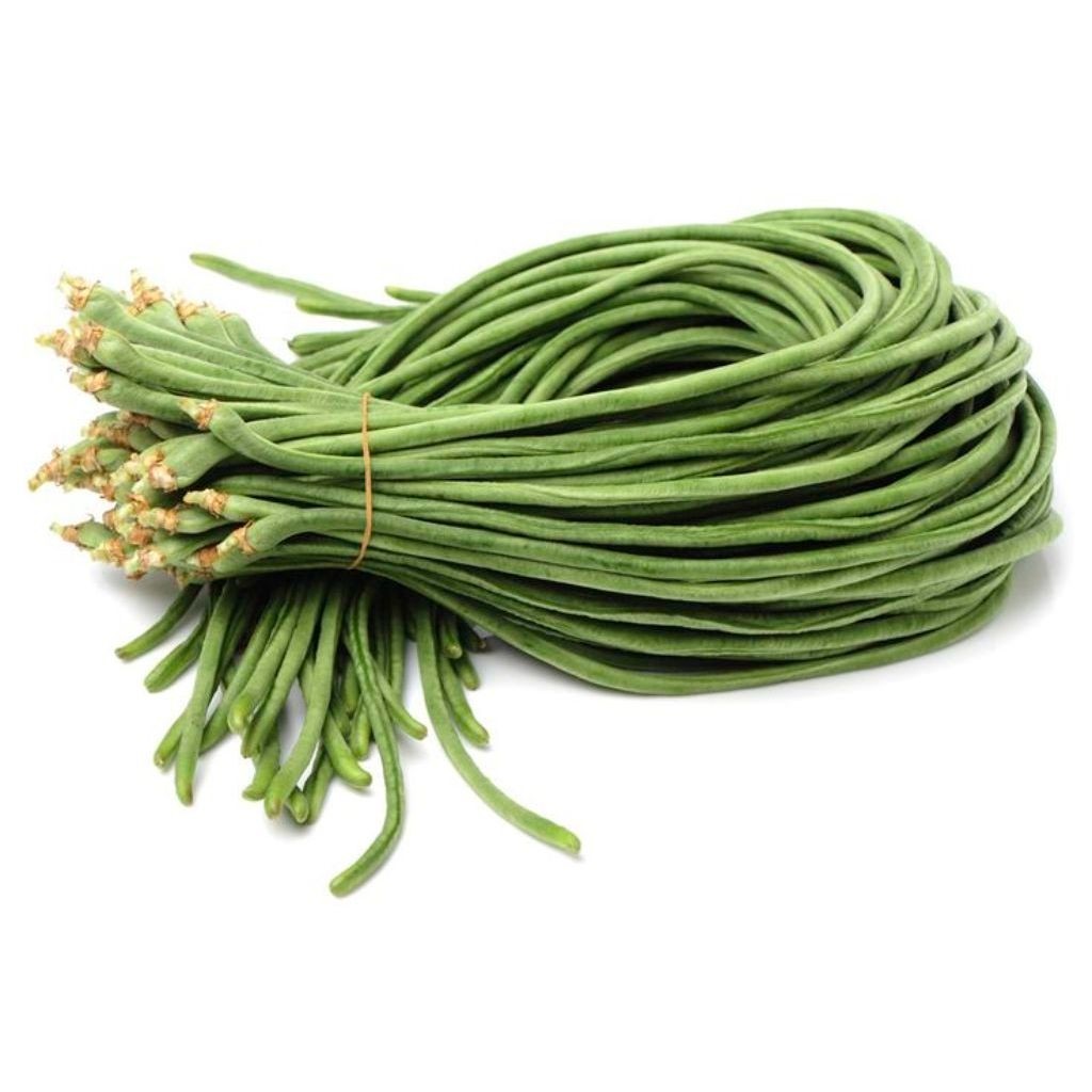 Kacang Panjang Super