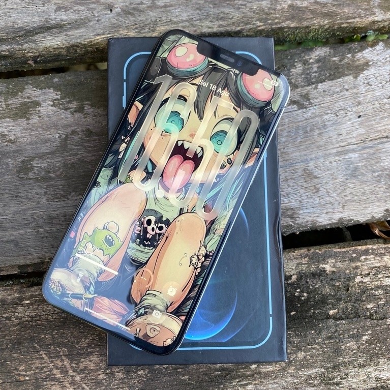 iphone 12 pro max 256Gb inter all operator