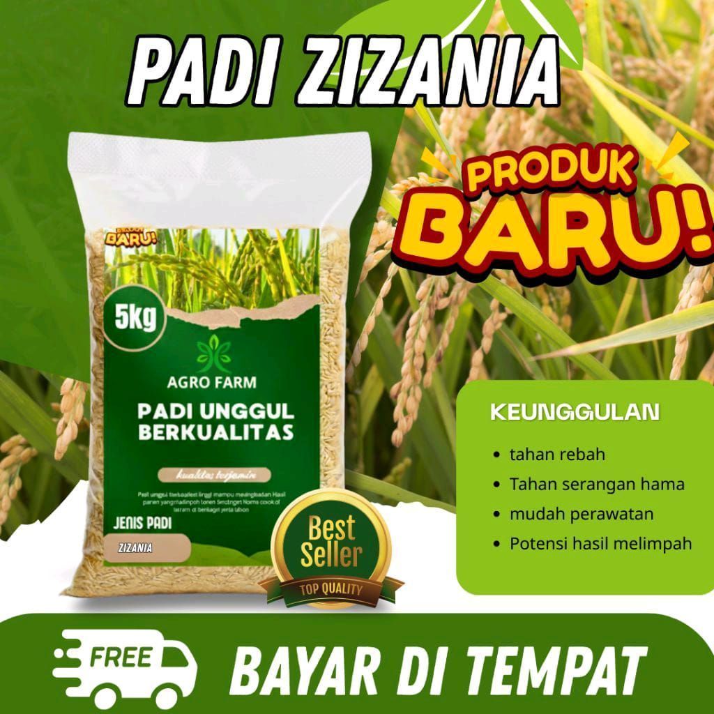 Benih Padi Zizania Agro Farm 5kg Padi Unggul Berkualitas Jenis Padi Zizania