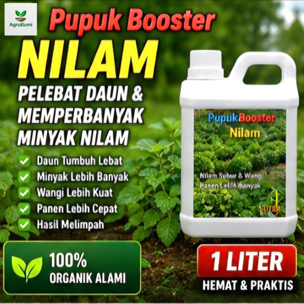 Pupuk Nilam Booster Meningkatkan Minyak Atsiri