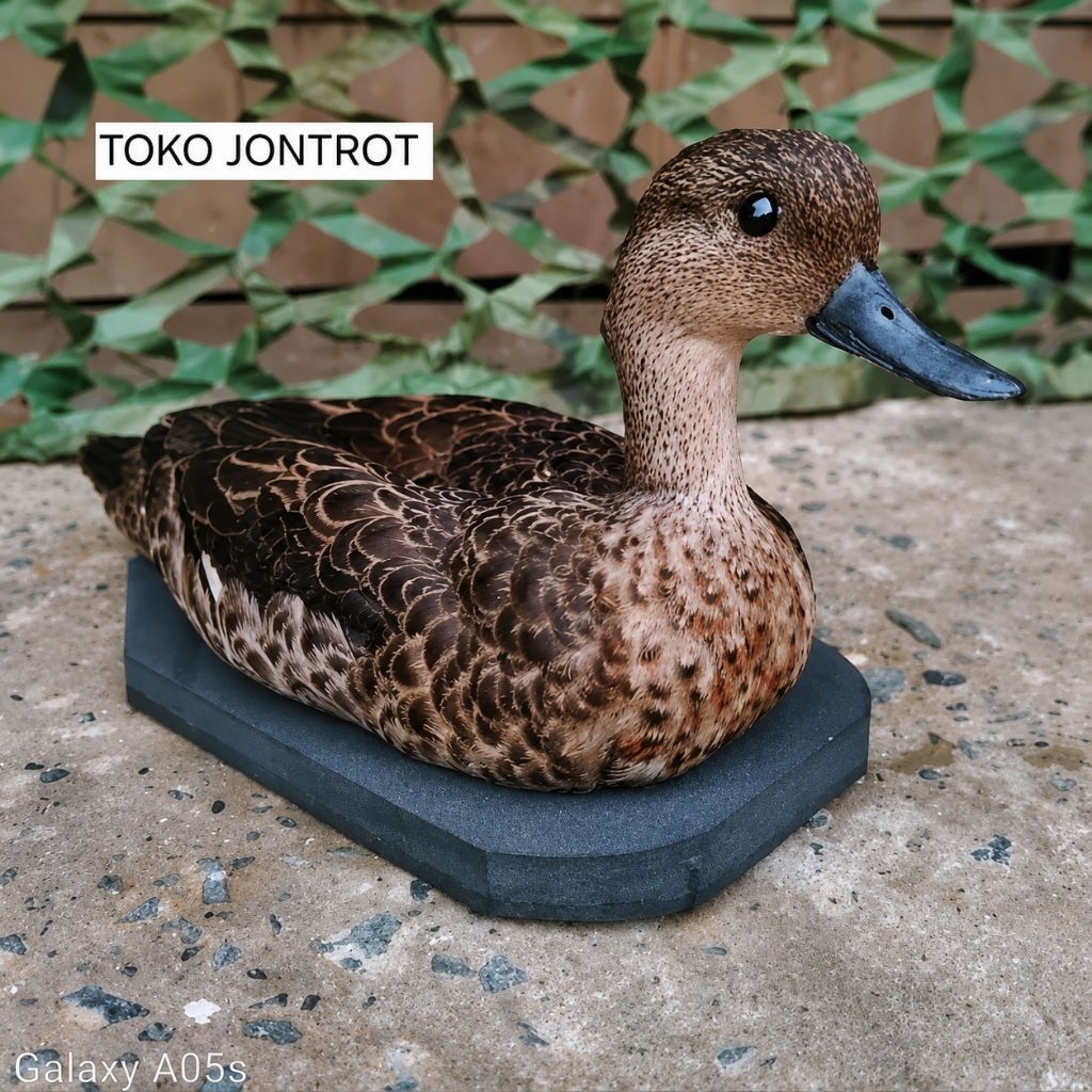 Jontrot Belibis Batu / Piolo / Decoy