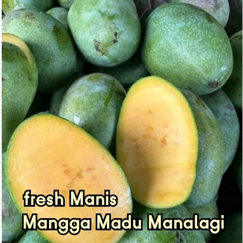 Mangga Madu Manalagi (Khas Probolinggo) 1 Kg