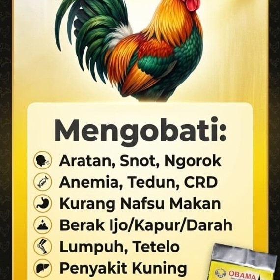 OBAMA (OBAT AYAM MANJUR) untuk ayam sakit