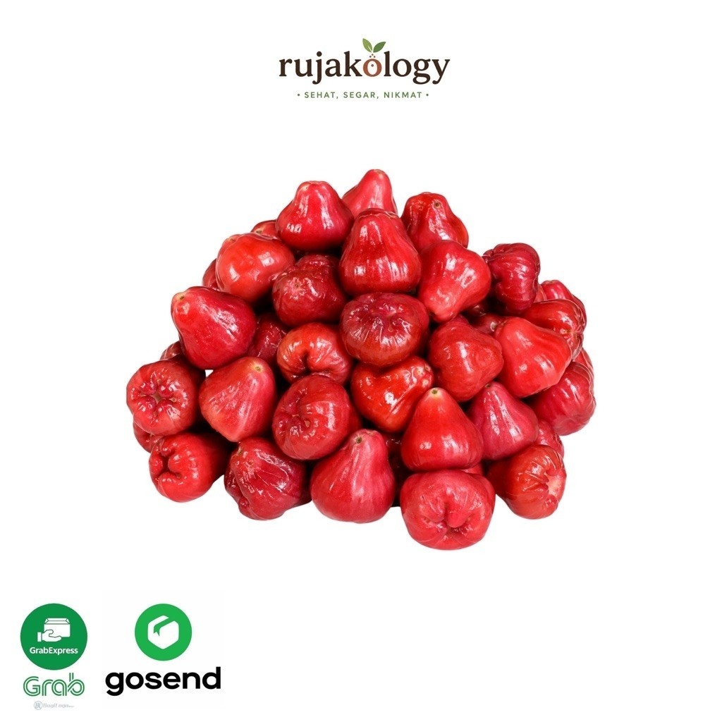 Jambu Air Rujak l Jambu Air Merah 1Kg