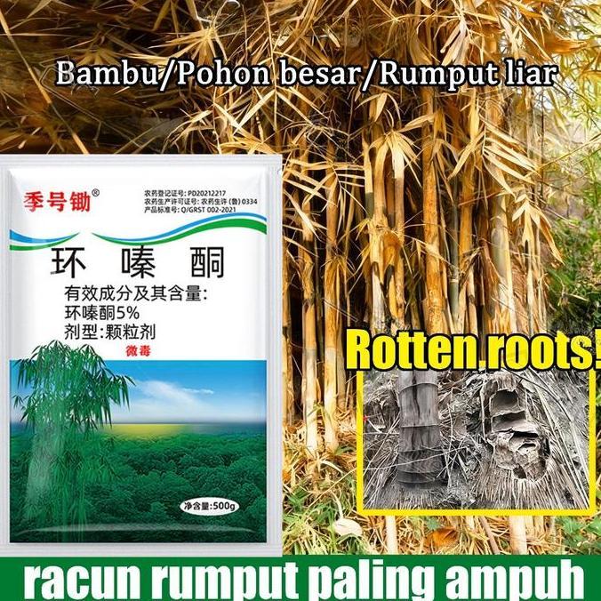 Herbisida 5% Hexazinone Racun Pohon Besar Paling Ampuh Pembasmi Bambu Gulma Mati Sampai Akar Obat Ru