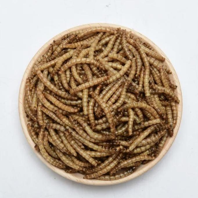 Ulat Jerman Kering 1 Kg SNACK HEWAN PELIHARAAN