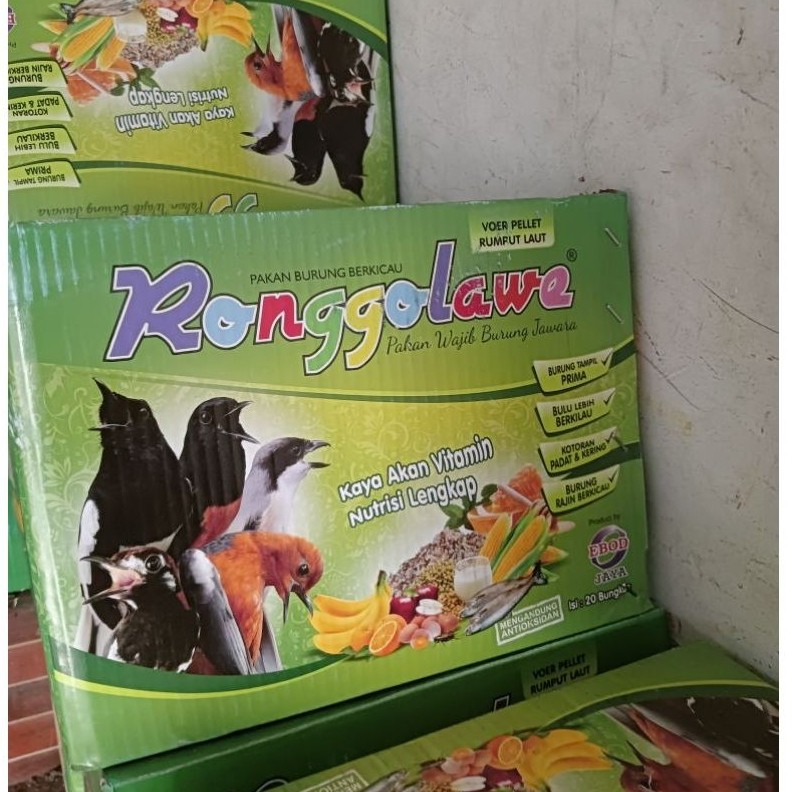 GROSIR PUR RONGGOLAWE RUMPUT LAUT isi 20pcs