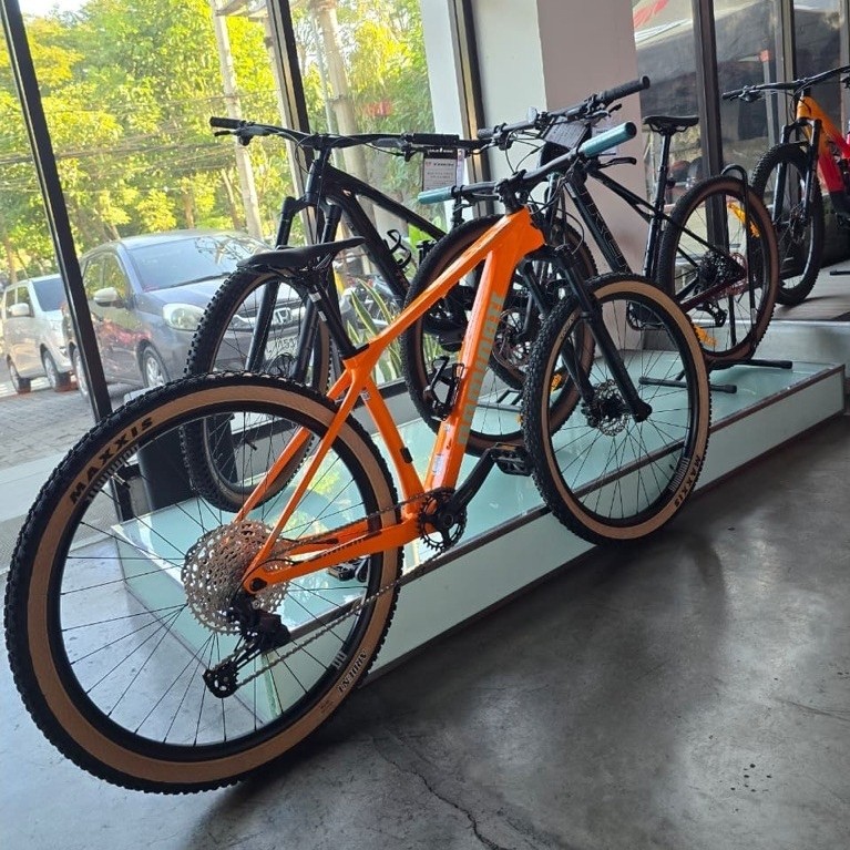 Dominate CXC Comp R Carbon 12 Speed MTB 29"