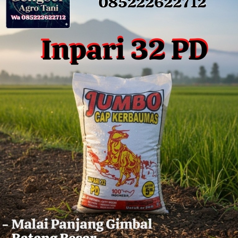 Terlaris...  BIBIT BENIH PADI INPARI 32 PD JUMBO Cap KERBAUMAS BERSERTIFIKAT.. JAMIN ORIGINAL