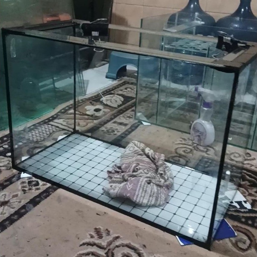 aquarium 120 x 60 x 50 top filter rak hollo