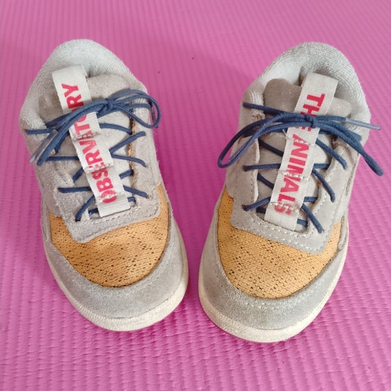 Sepatu anak Reebok x Animal Observatory, Preloved