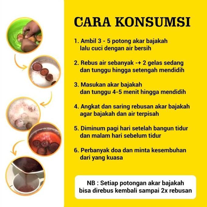 Akar Bajakah Kuning kalimantan