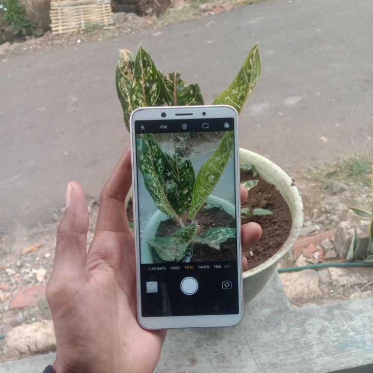 handphone bekas OPO f5 ram 4/64gb minus
