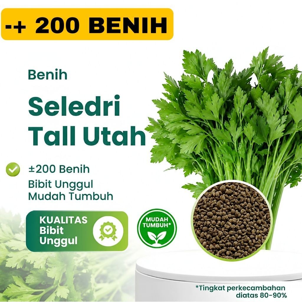 200 BENIH Seledri Utah Batang Besar / Biji Seledri Utah Batang Besar
