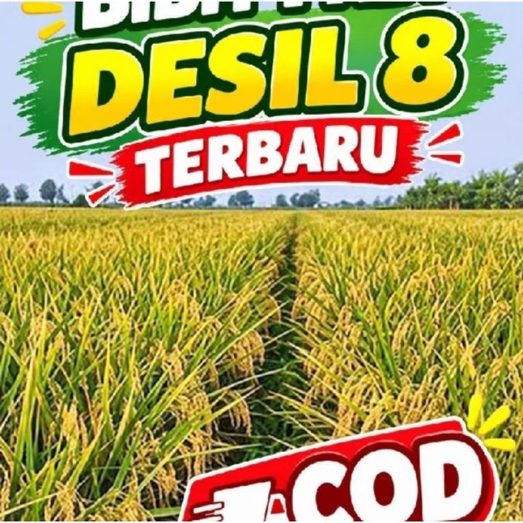BENIH PADI DESIL 8 SUPER ANAKAN TERBANYAK BERKUALITAS UNGGUL PER 5KG