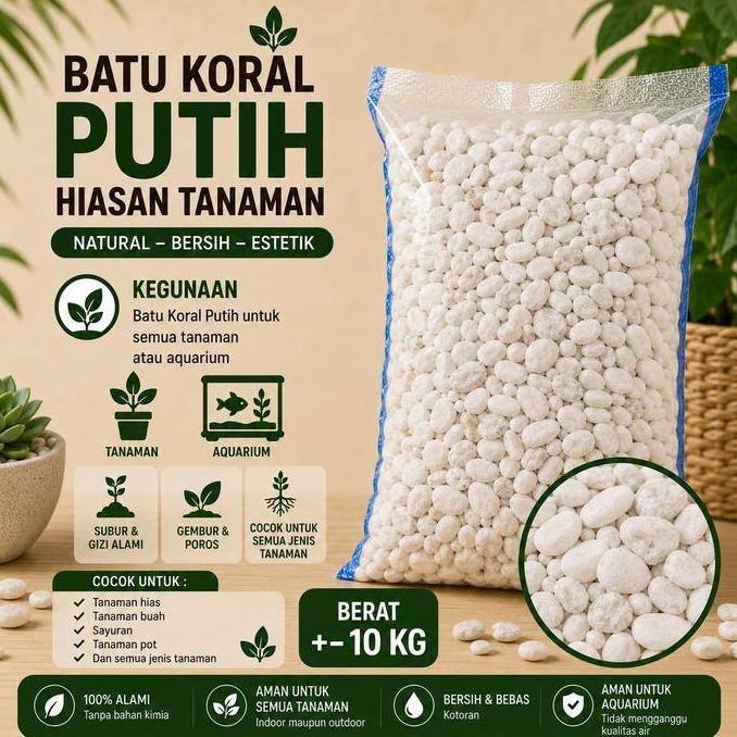BATU KORAL PUTIH KECIL HIASAN TAMAN BATU MAKAM VIA INSTANT - BATU KORAL KARUNG