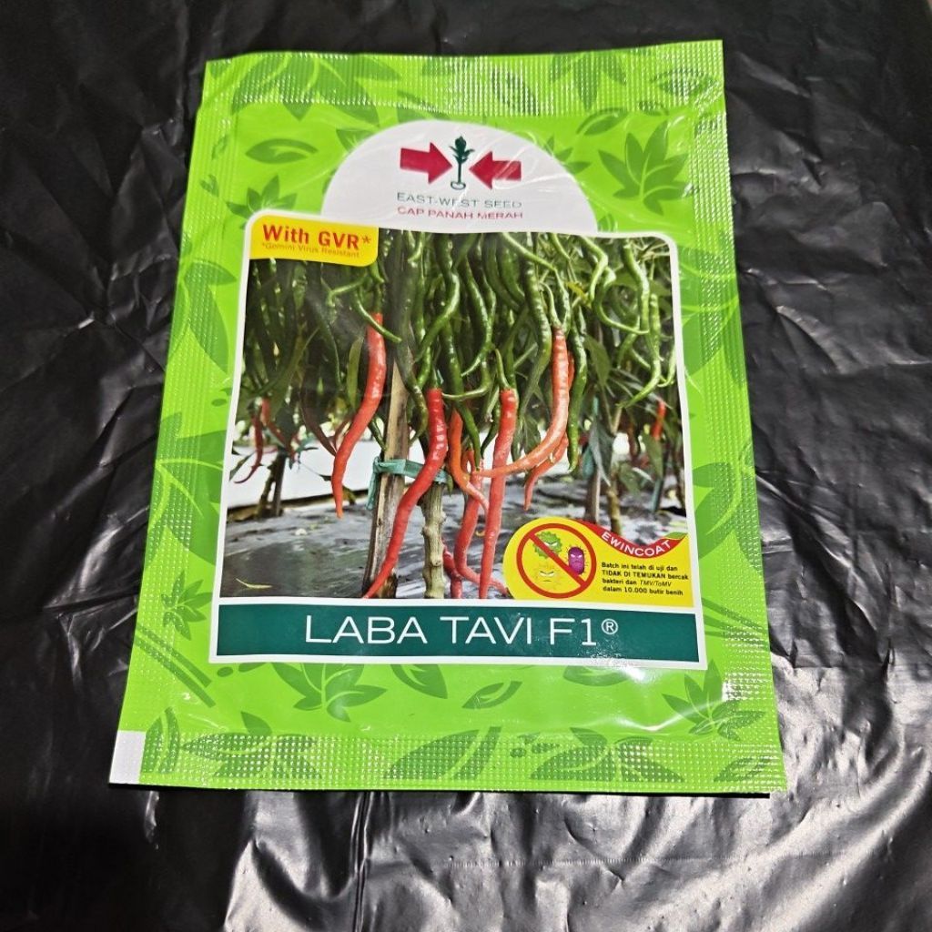 benih cabai laba tavi F1  2000 biji