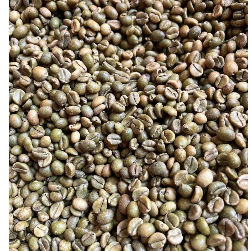 Green Bean Excelsa Seloondo Natural Process sortir 1 KG