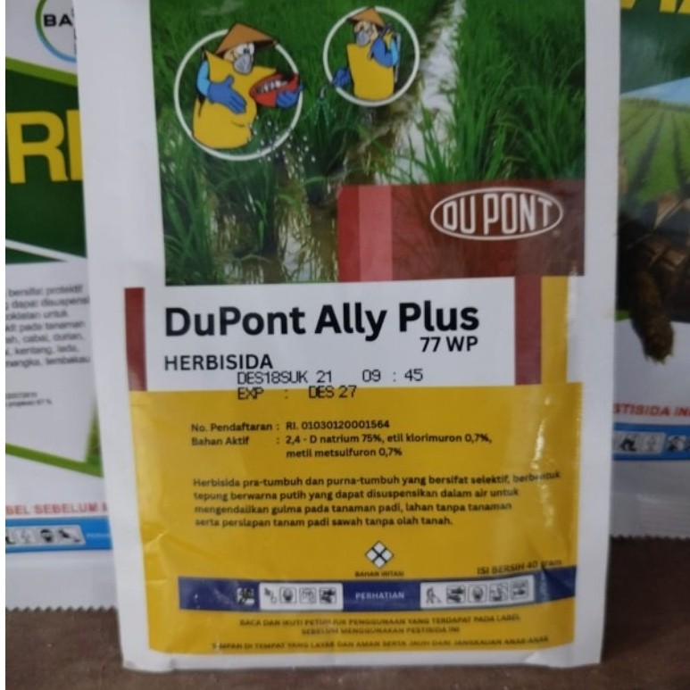 ally plus