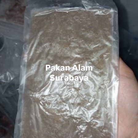 Udang Rebon Beku Fresh Baby Udang 100gram Cocok Ikan Hias Laut Susah Makan