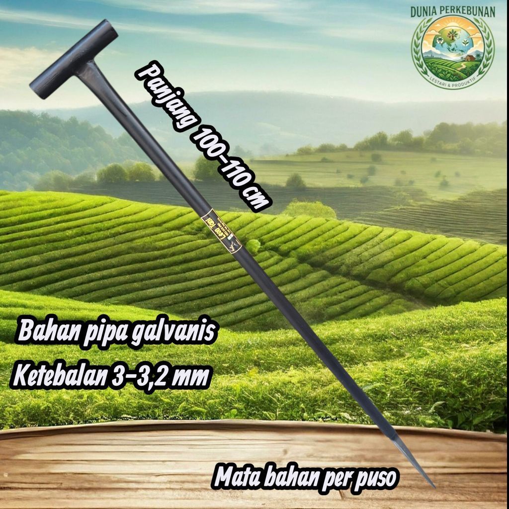 TOJOK GALVANIS TEBAL