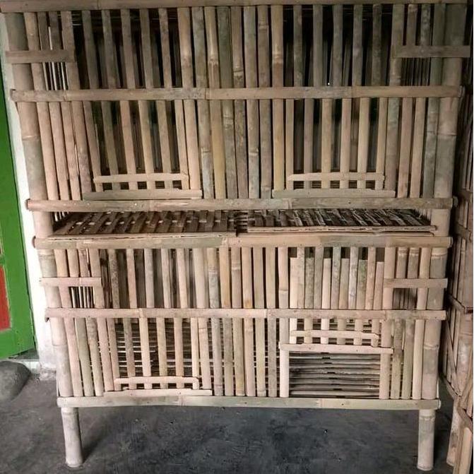 bok ayam kurungan ayam dan kandang kucing