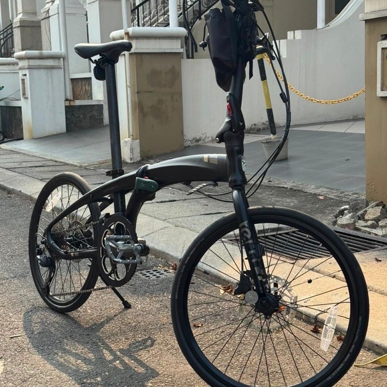 Tern verge d9