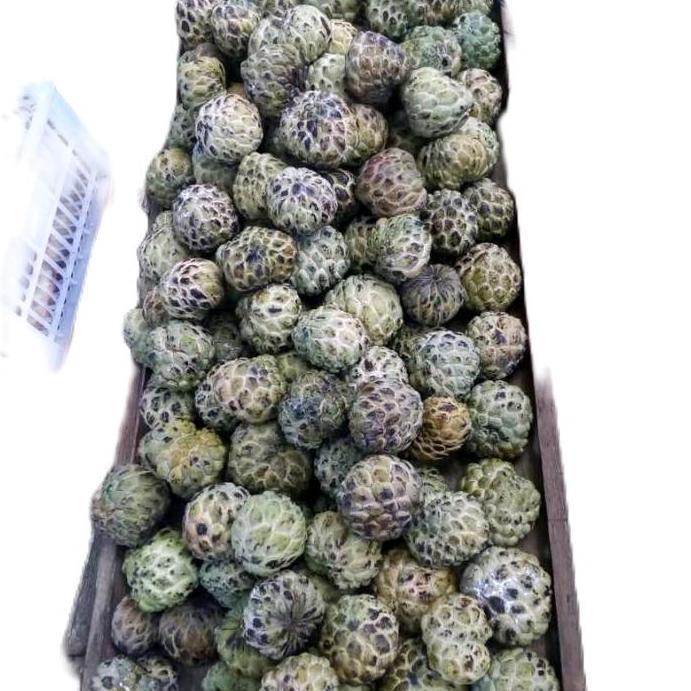 DISKON! BUAH SRIKAYA 1KG BUAH LANGKA