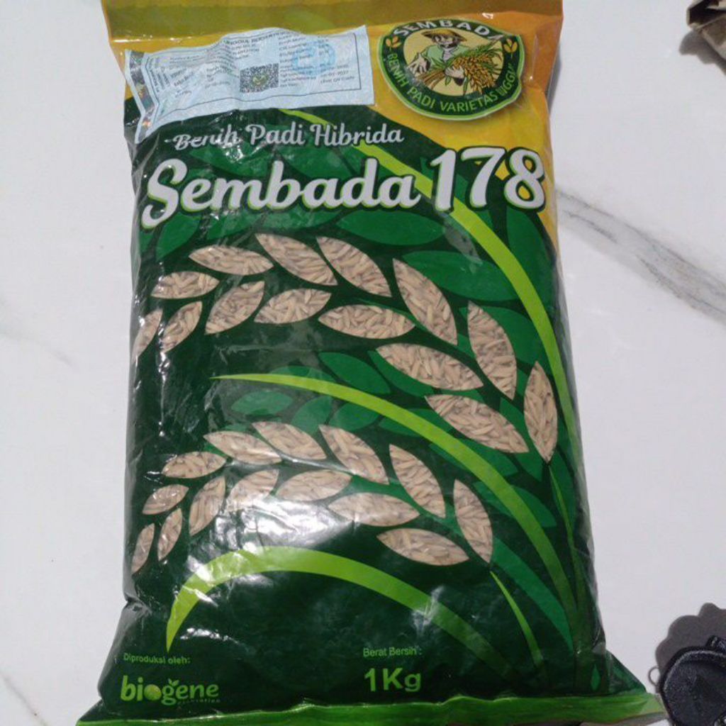 bibit padi Sembada 178 ori