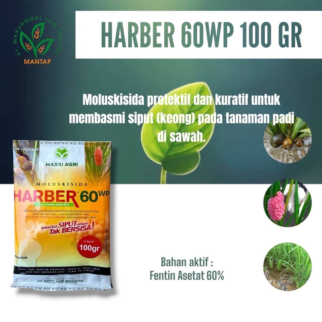 HARBER 60WP 100 GR