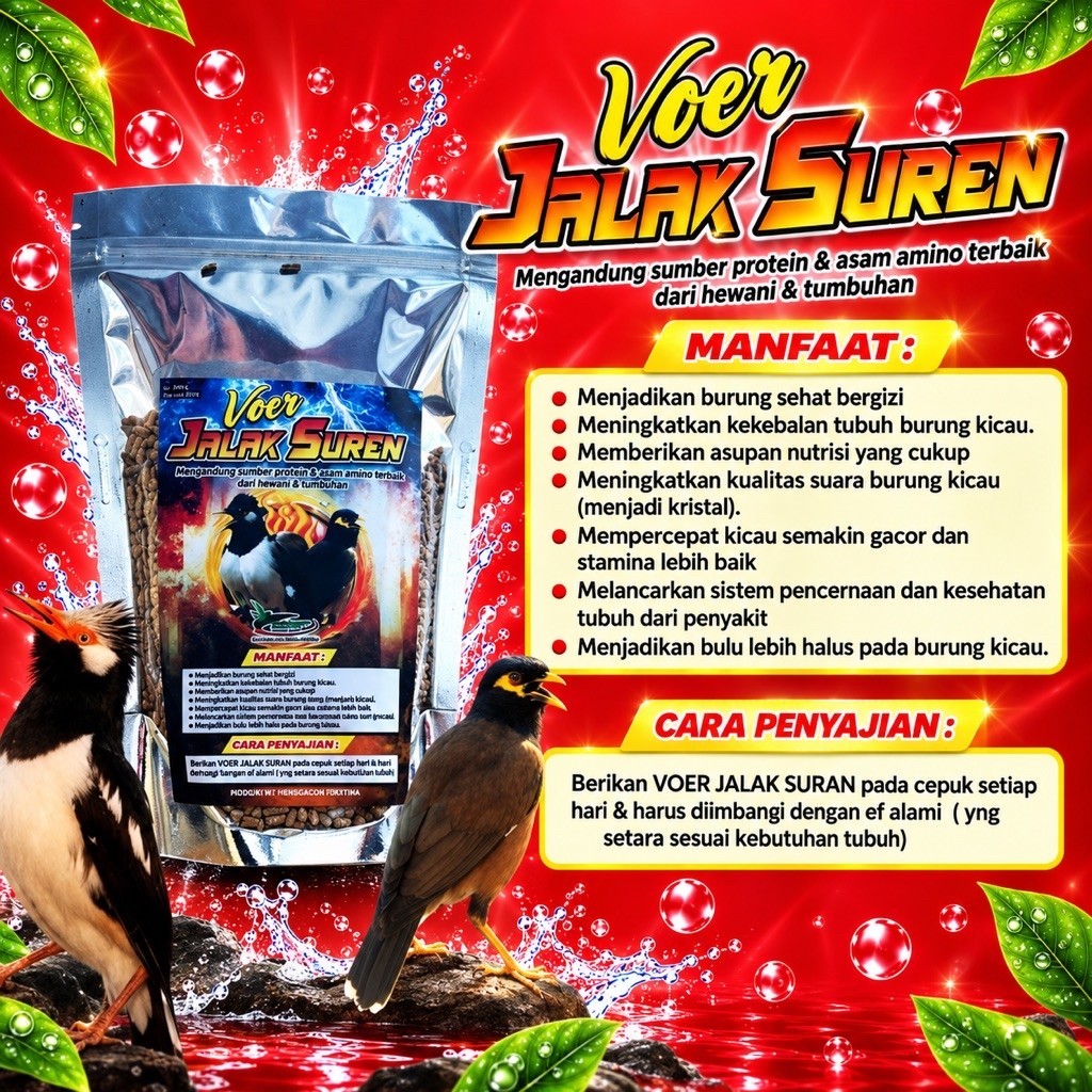 Voer Pakan Jalak Suren Penggacor burung Makanan pakan burung jalak suren