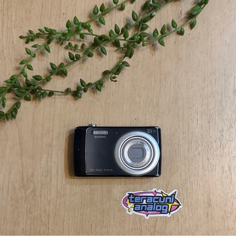 CASIO EXILIM QV-R200