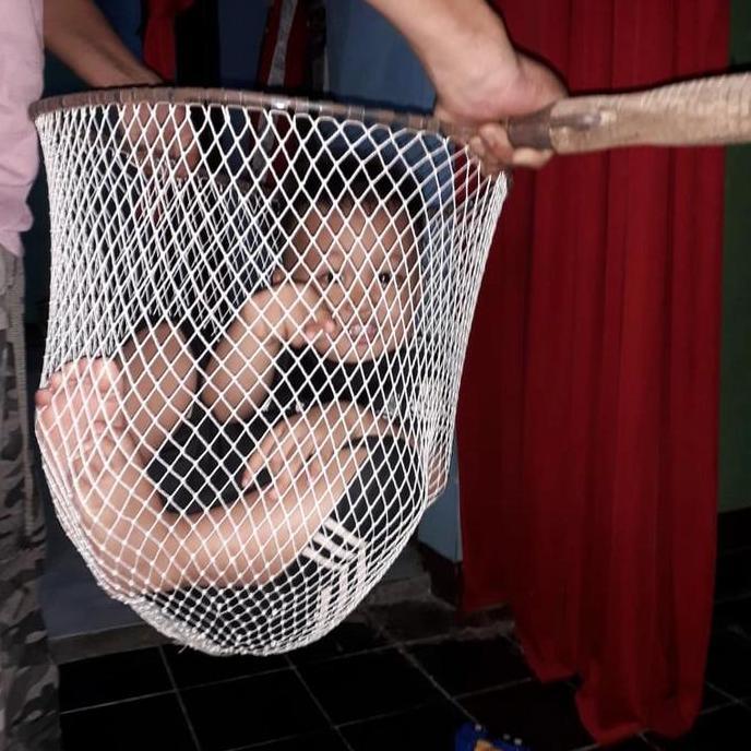 serokan ikan lele besar jumbo seser ikan
