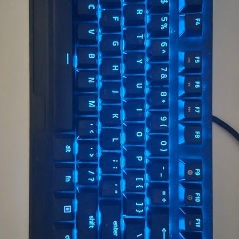 Razer Blackwidow V3 Tenkeyless