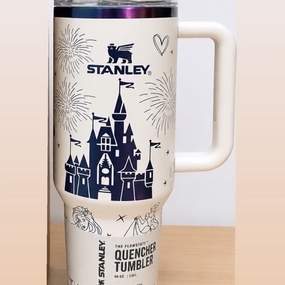 Stanley Quencher Disney Castle