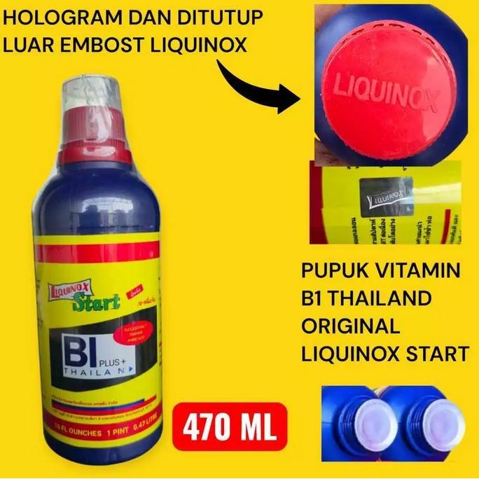 Pupuk Vitamin B1 Thailand Import By Liquinox Start Kemasan Pabrik 500 Ml Nutrisi Andal Penunjang Aka