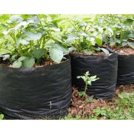 Polybag Tanaman 40X40 Isi 100 Pcs / Polybag Kebun 40X40 Isi 100 Lembar / Plastik Polybag 40X40
