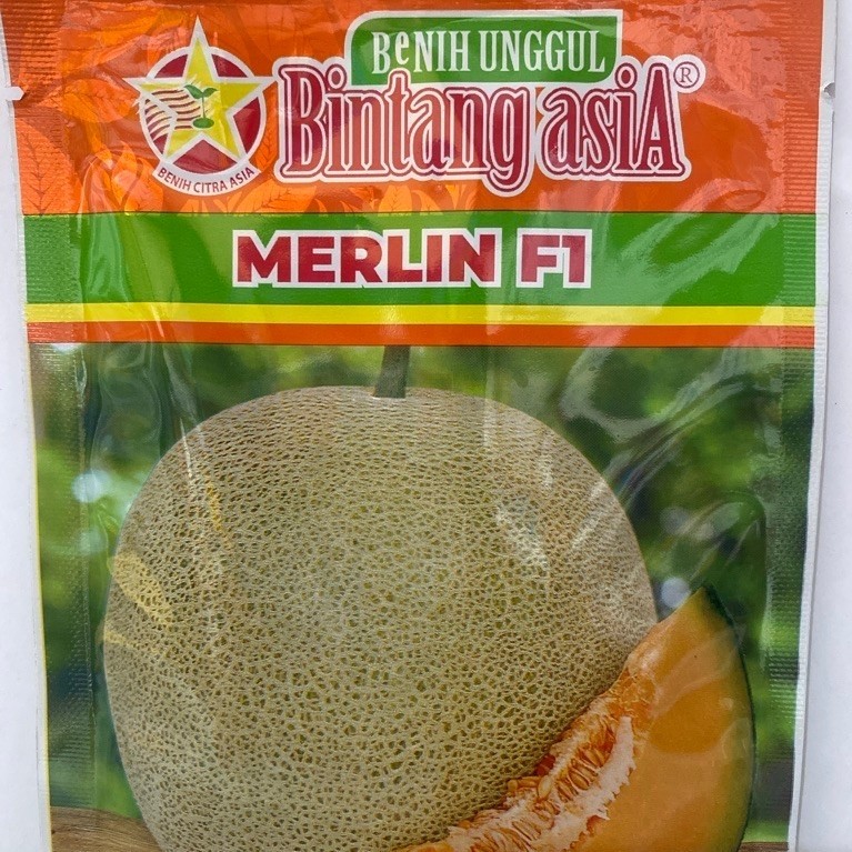Benih Melon Merlin F1 Orange