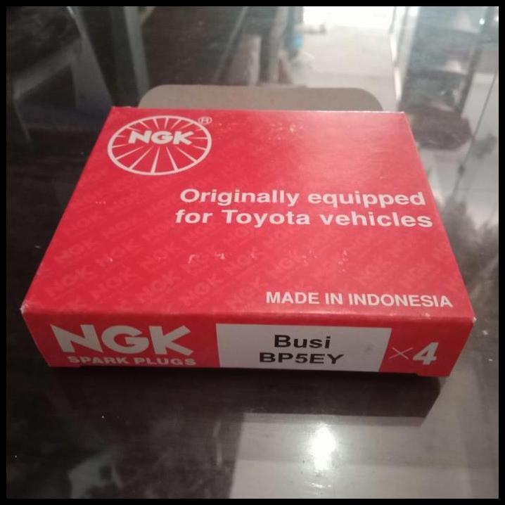 TERLARIS SPARK PLUG / BUSI NGK BP5EY !!!!!