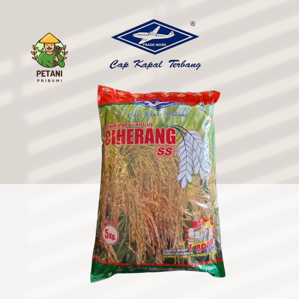 BENIH PADI UNGGUL CIHERANG SS BISI 5 KG CAP KAPAL TERBANG EXP 21.01.27