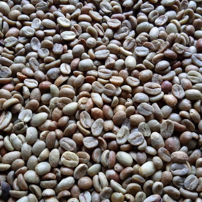 kopi arabika komersil greenbean