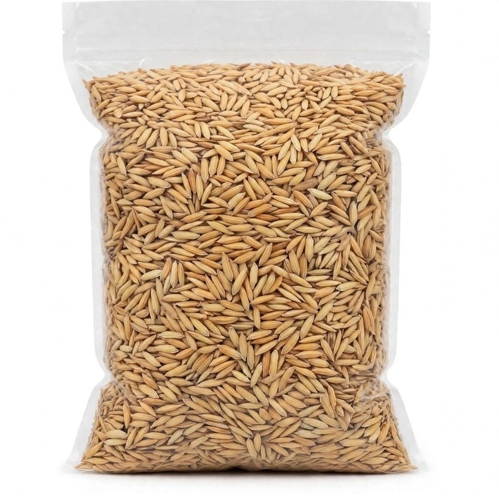 Padi Gabah 1kg - Gabah Padi Kering Premium,Tanpa Sekam