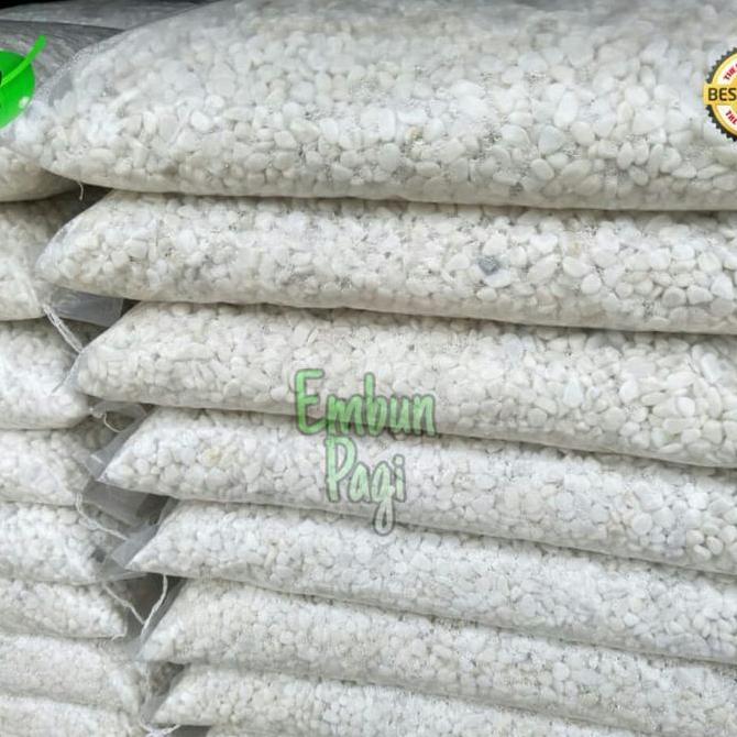 PREMIUM Batu koral putih italy import 10kg via cago